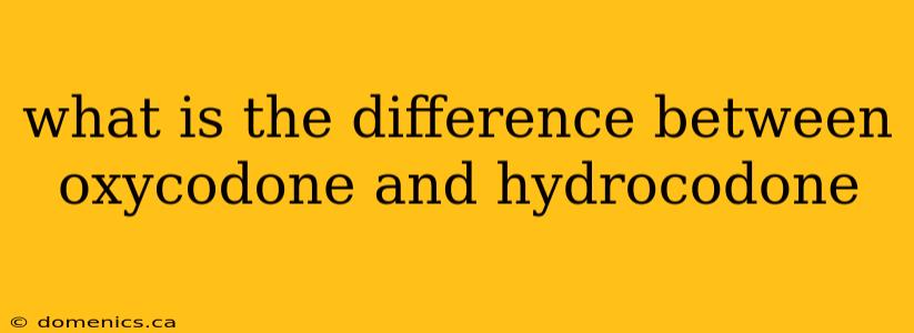what is the difference between oxycodone and hydrocodone