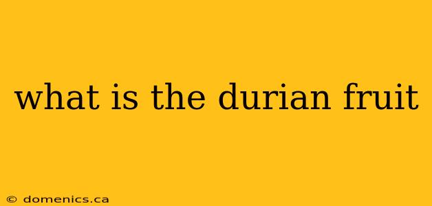 what is the durian fruit