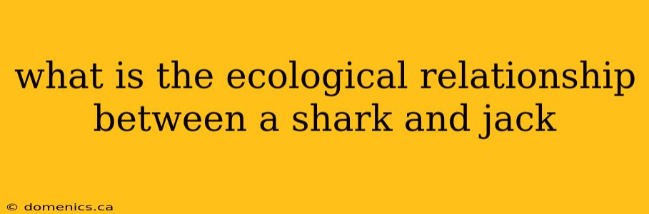 what is the ecological relationship between a shark and jack