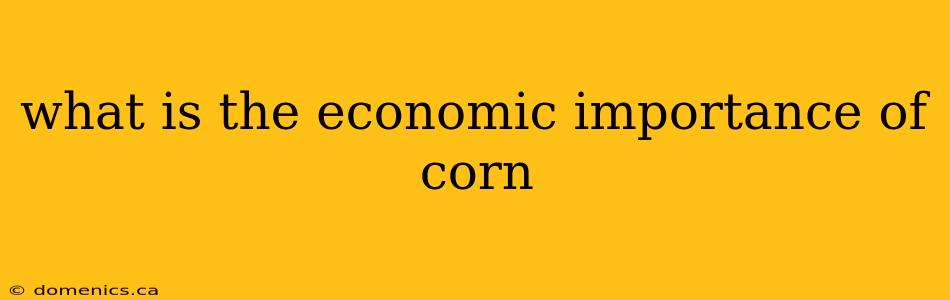 what is the economic importance of corn