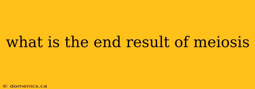 what is the end result of meiosis