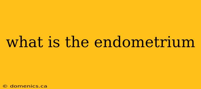 what is the endometrium