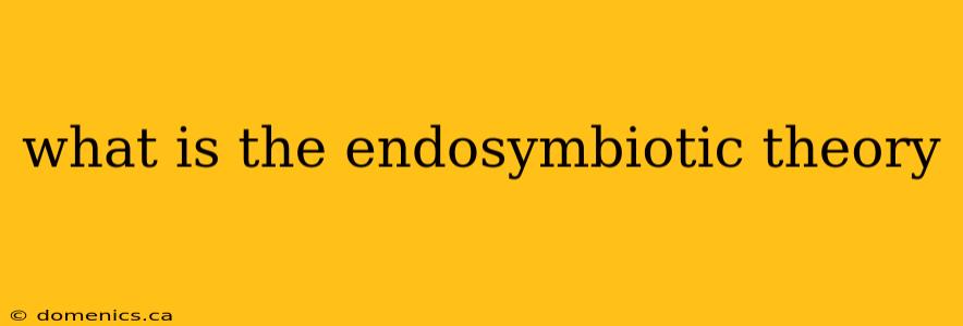 what is the endosymbiotic theory