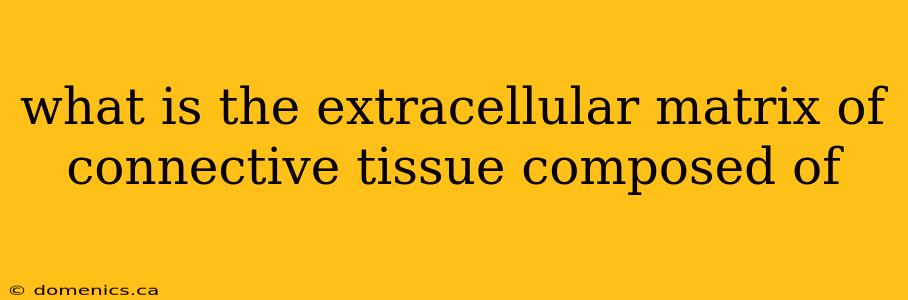 what is the extracellular matrix of connective tissue composed of