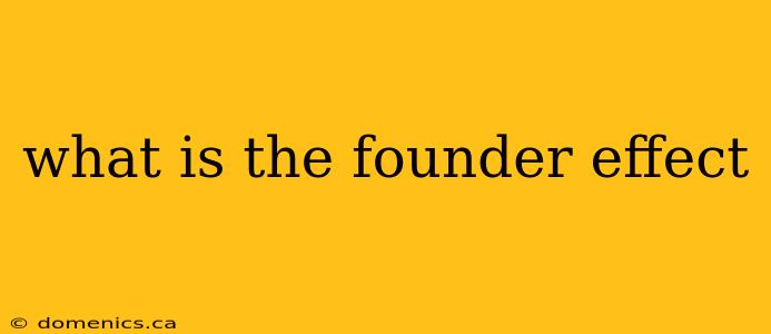 what is the founder effect