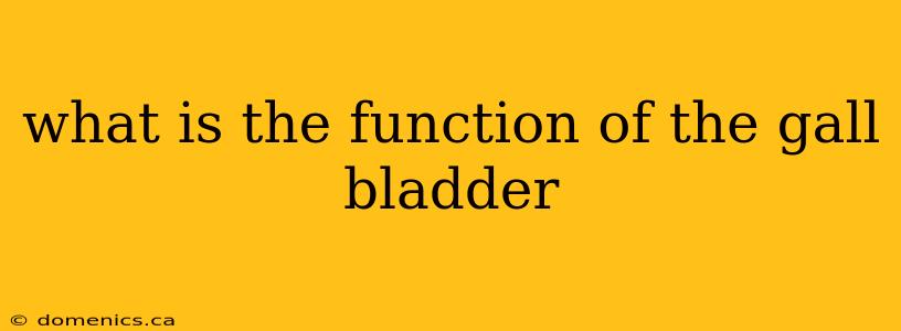 what is the function of the gall bladder