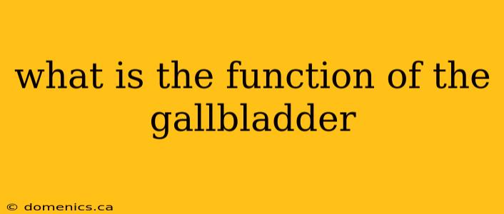 what is the function of the gallbladder