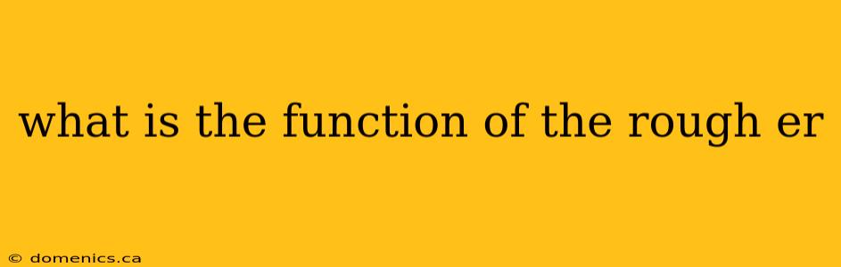 what is the function of the rough er