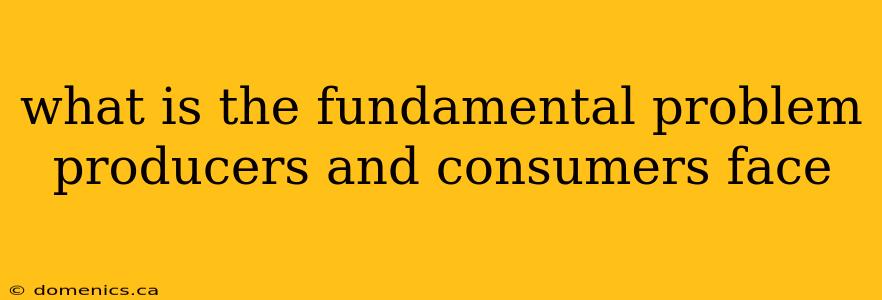 what is the fundamental problem producers and consumers face