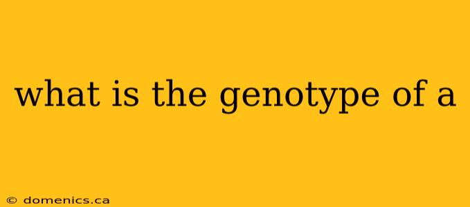 what is the genotype of a