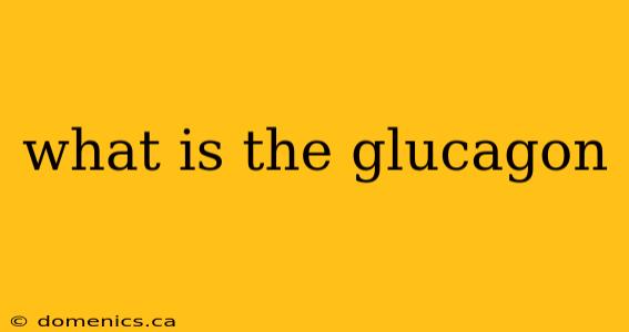 what is the glucagon