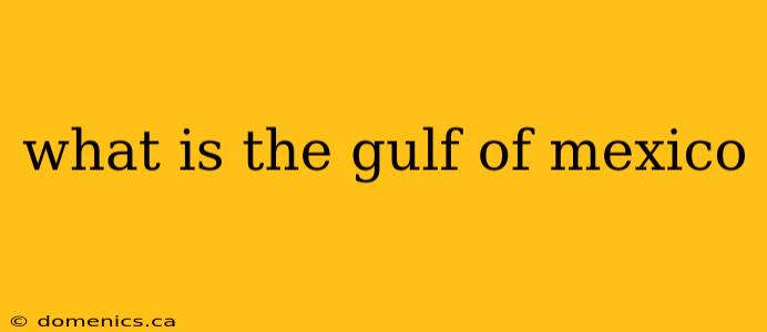 what is the gulf of mexico