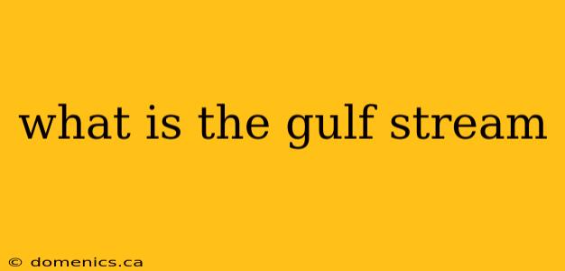 what is the gulf stream