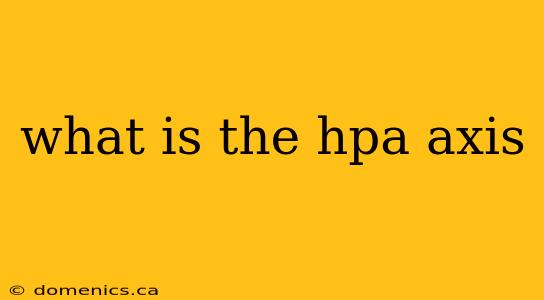 what is the hpa axis