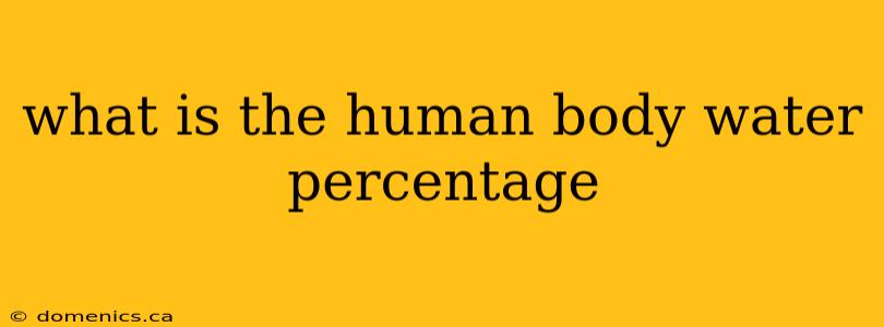 what is the human body water percentage