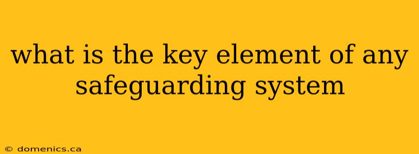 what is the key element of any safeguarding system