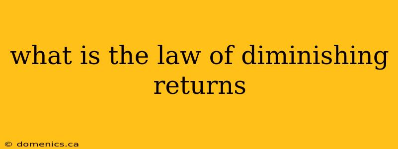 what is the law of diminishing returns