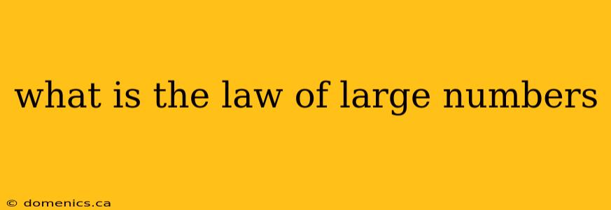 what is the law of large numbers