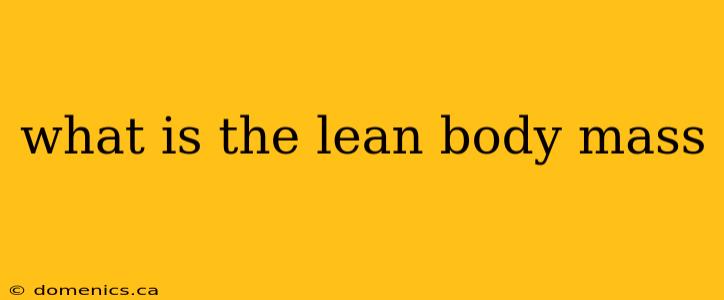 what is the lean body mass