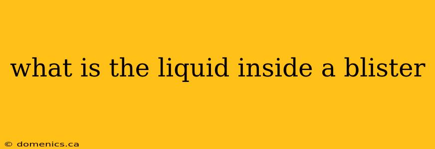 what is the liquid inside a blister