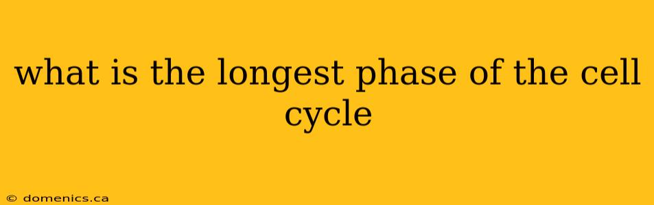 what is the longest phase of the cell cycle