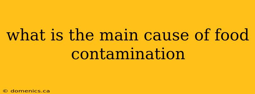 what is the main cause of food contamination