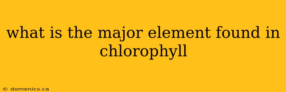 what is the major element found in chlorophyll