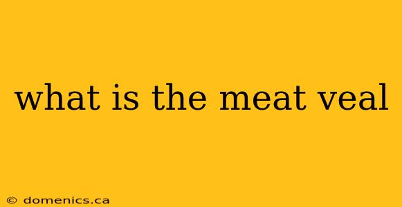 what is the meat veal