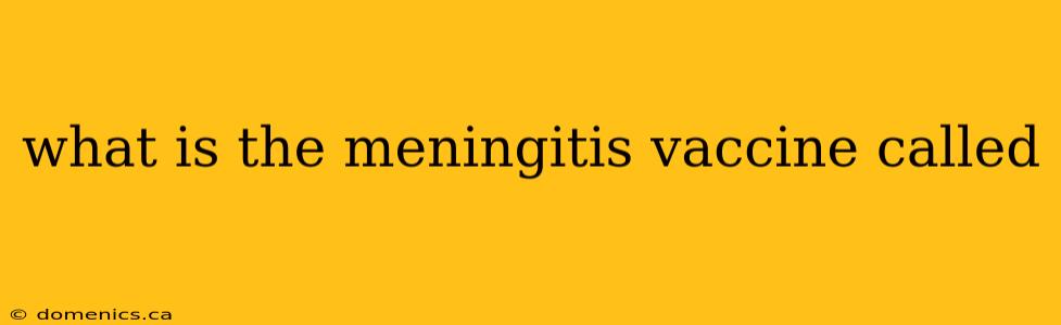 what is the meningitis vaccine called