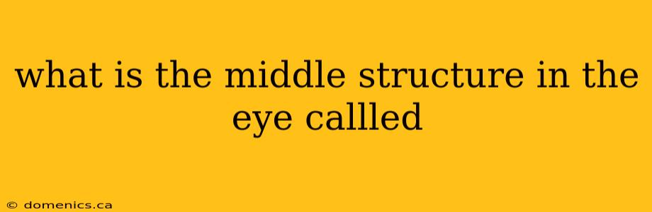 what is the middle structure in the eye callled