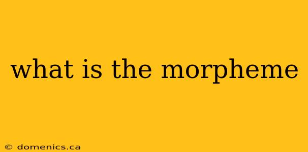 what is the morpheme