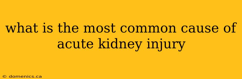 what is the most common cause of acute kidney injury