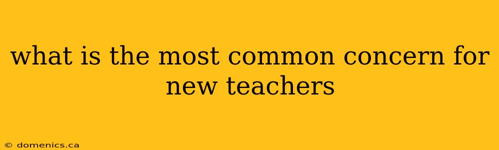 what is the most common concern for new teachers