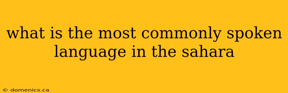 what is the most commonly spoken language in the sahara