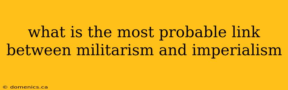 what is the most probable link between militarism and imperialism