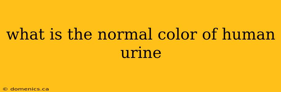 what is the normal color of human urine