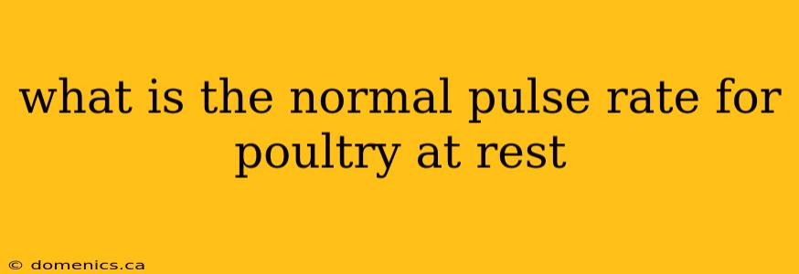 what is the normal pulse rate for poultry at rest