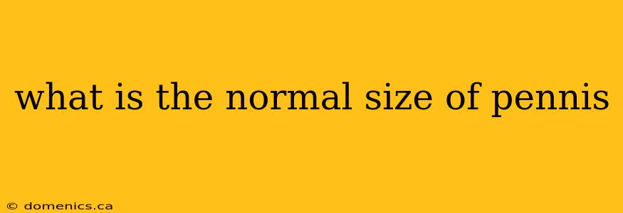 what is the normal size of pennis