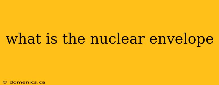 what is the nuclear envelope