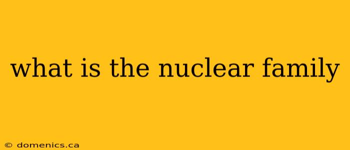 what is the nuclear family