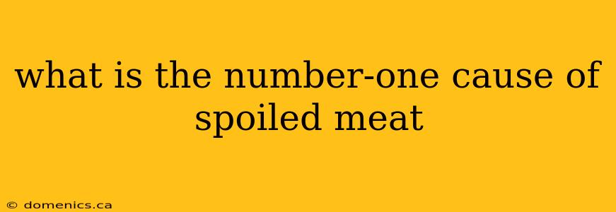 what is the number-one cause of spoiled meat