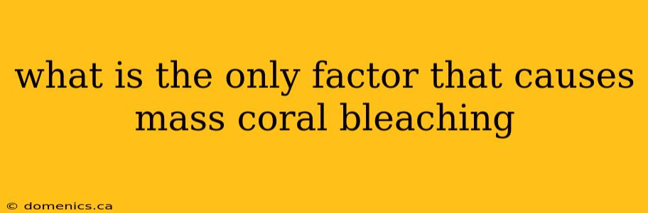 what is the only factor that causes mass coral bleaching