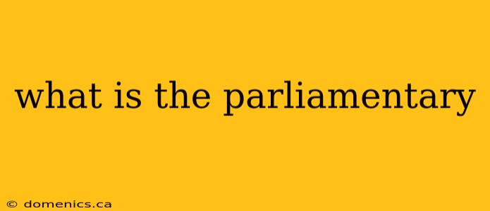 what is the parliamentary