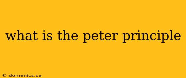 what is the peter principle