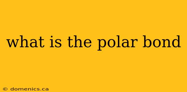 what is the polar bond