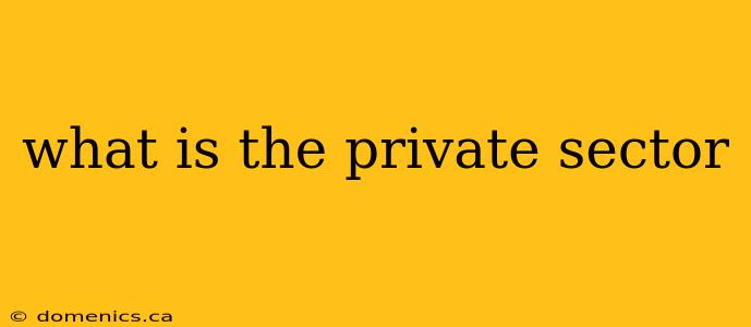 what is the private sector