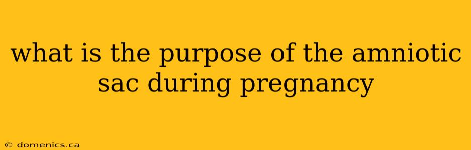 what is the purpose of the amniotic sac during pregnancy