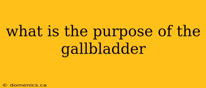 what is the purpose of the gallbladder