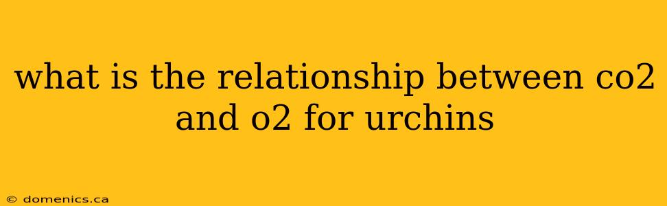 what is the relationship between co2 and o2 for urchins