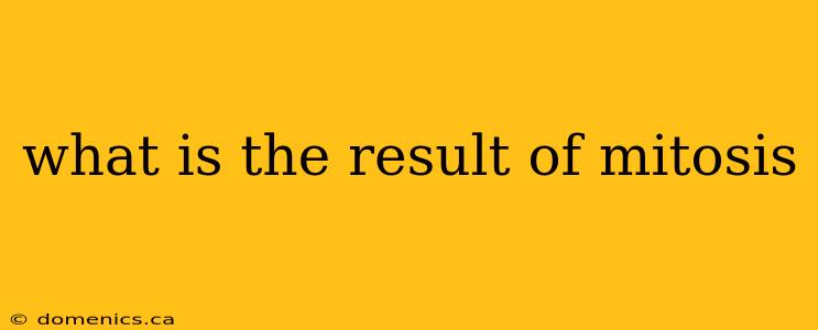 what is the result of mitosis